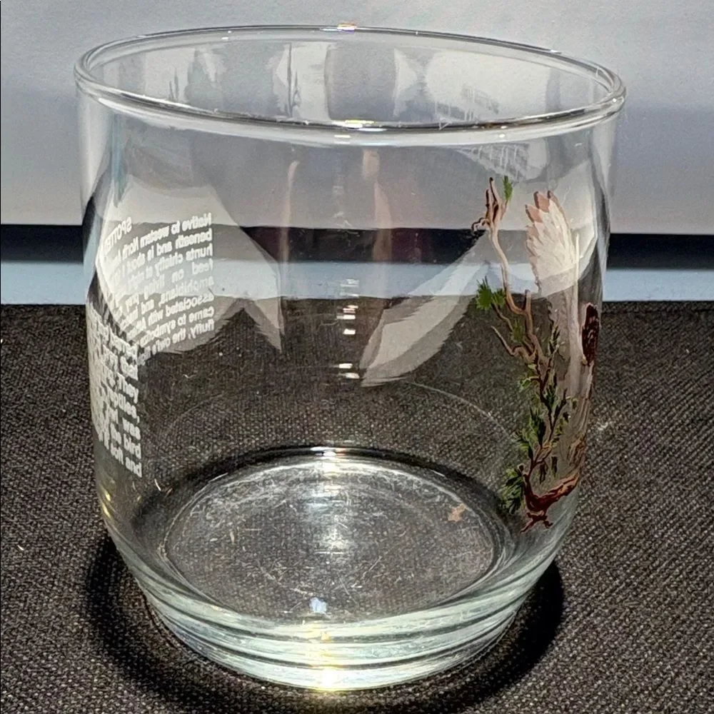 One Owl Design drink Glass